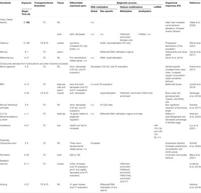 Epigenetic Transgenerational Modifications Induced by Xenobiotic Exposure in Zebrafish